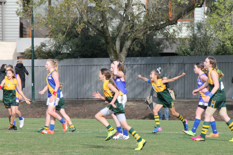 Junior Teams Hampton Rovers Juniors